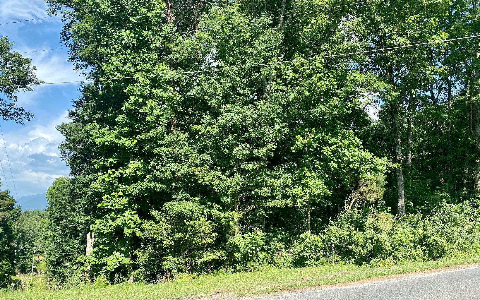 0 Flat Branch Road Property Photo 1