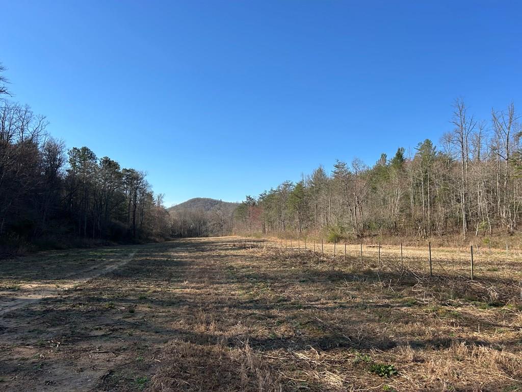11.43 Ac Fain Branch Road Property Photo 1