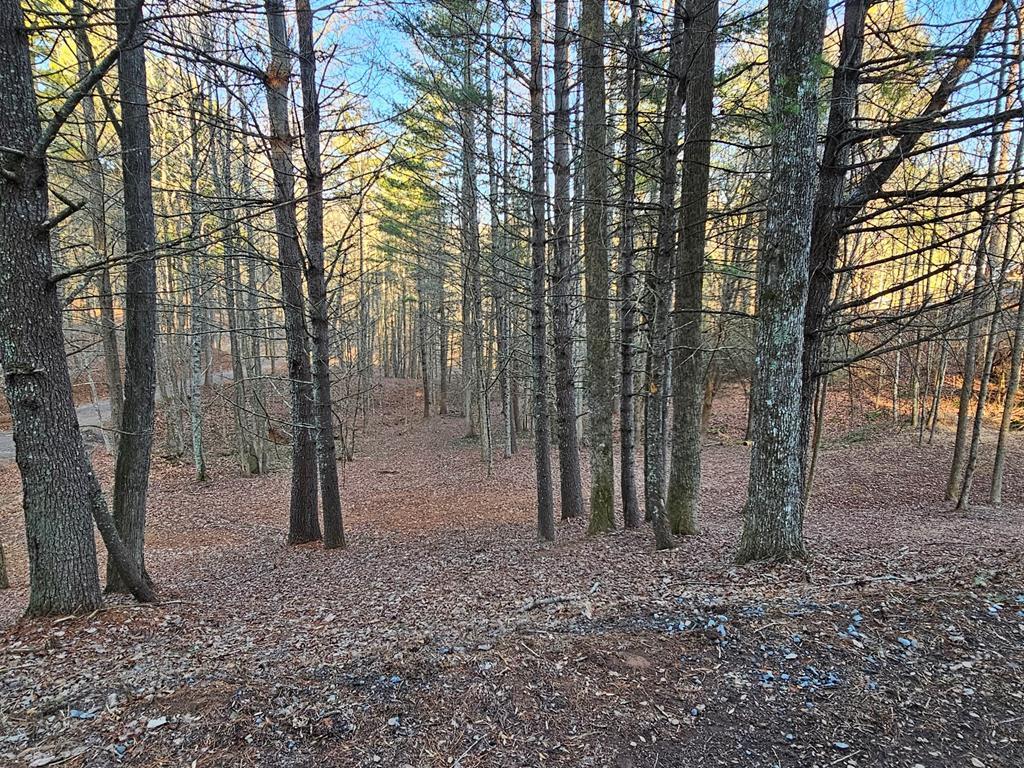 16 Merlin Trail Property Photo 1