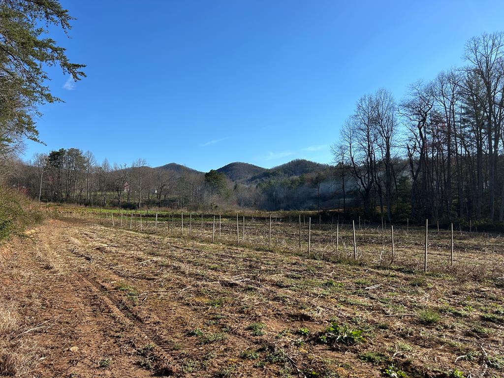 14.92 Ac Bald Mountain Creek Property Photo 1