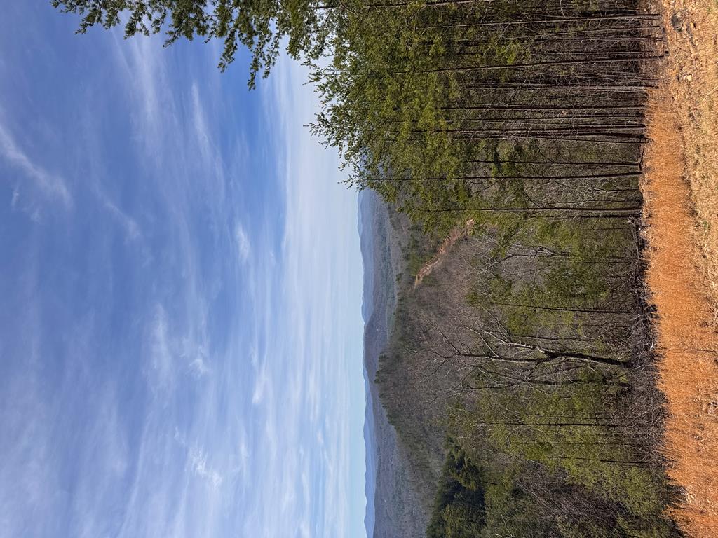 Lt 35 Crested Eagle Lane Property Photo 1