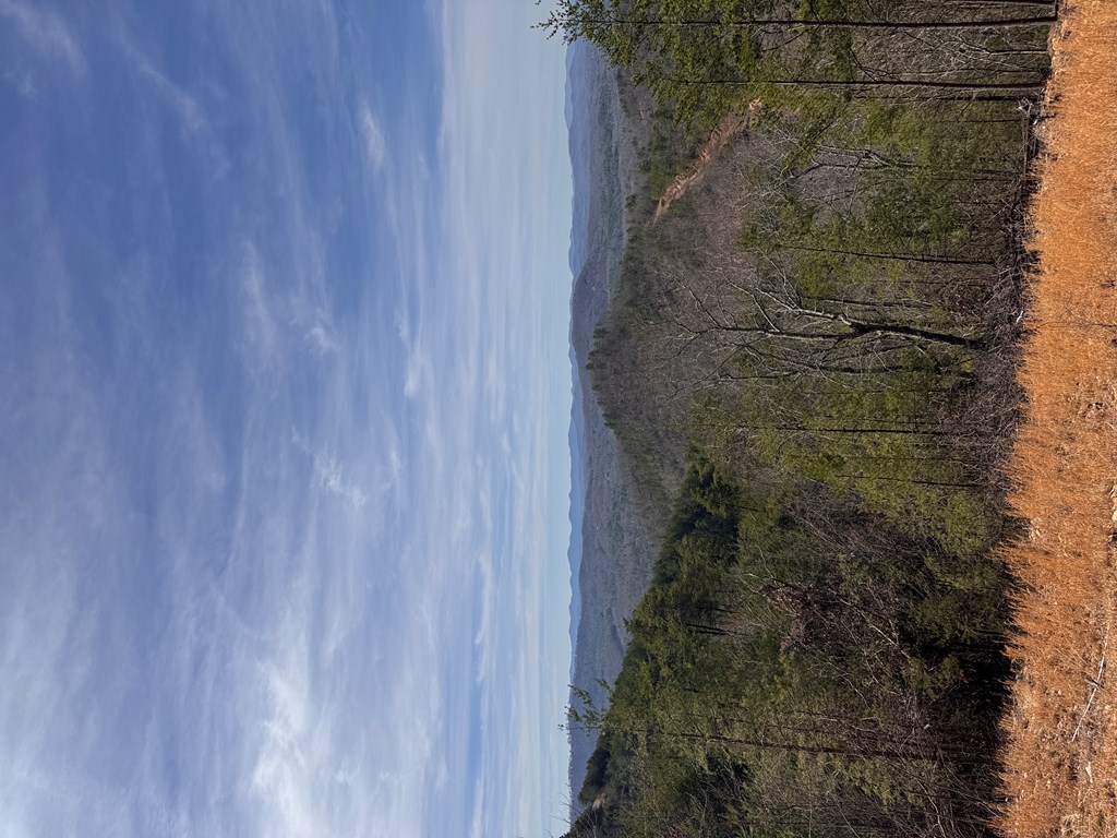 Lt 35 Crested Eagle Lane Property Photo 2