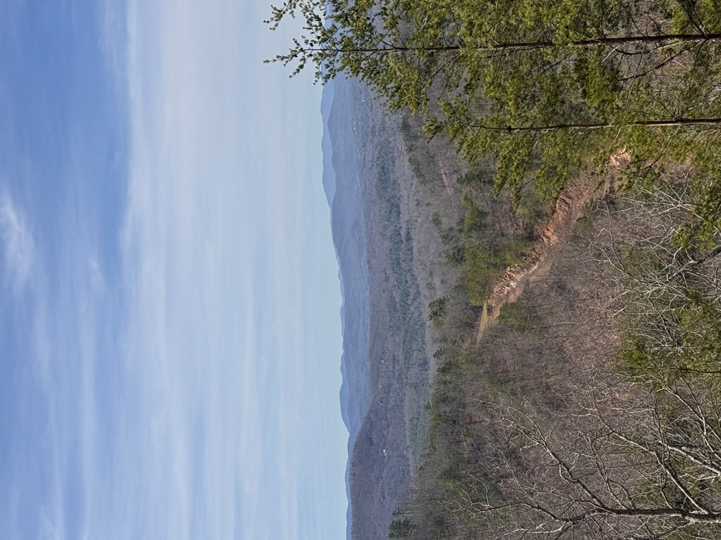 Lt 35 Crested Eagle Lane Property Photo 3