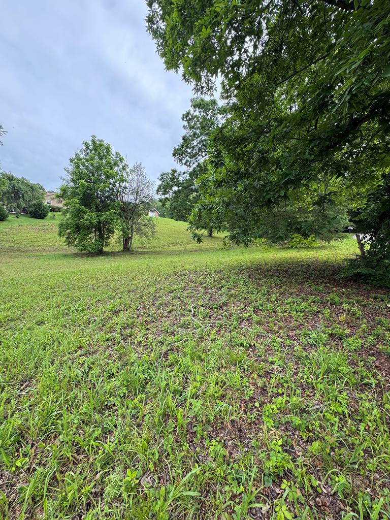 Lot 6 Chatuge Shores Overlook Property Photo 3
