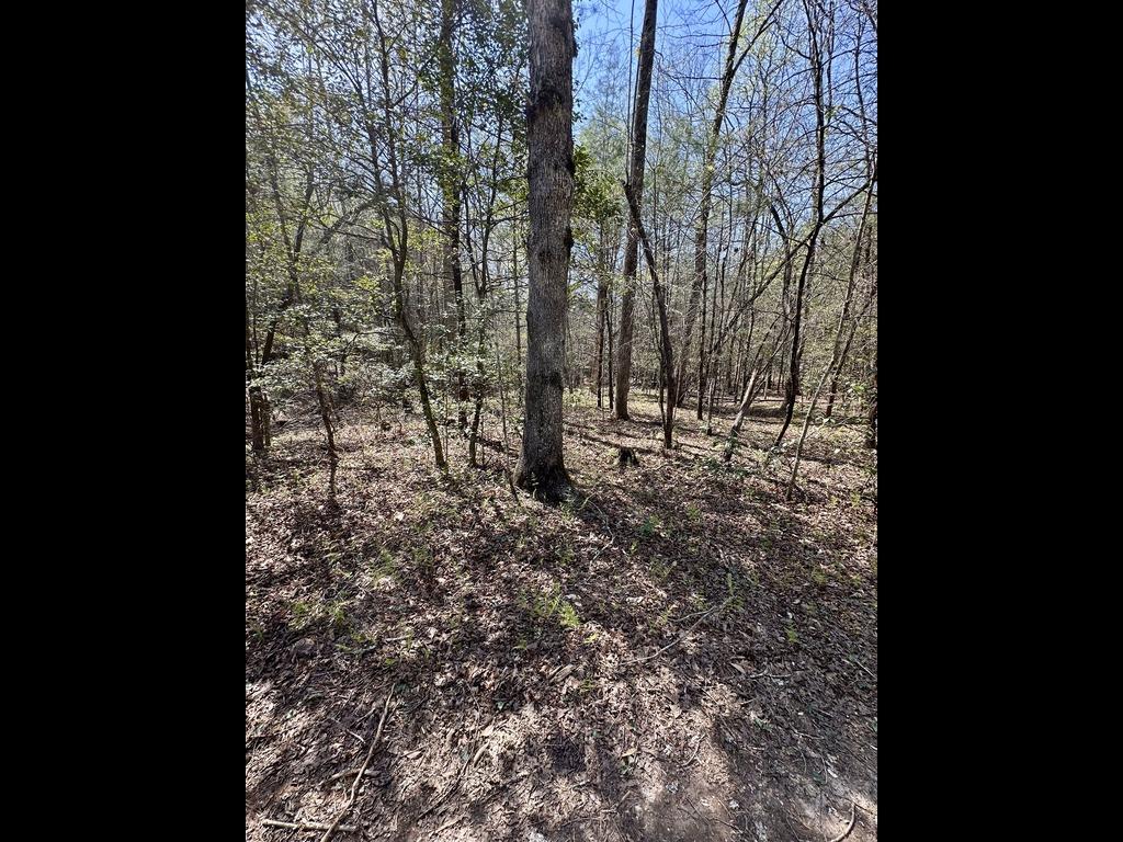 TR C E New Hope Road E Property Photo 1
