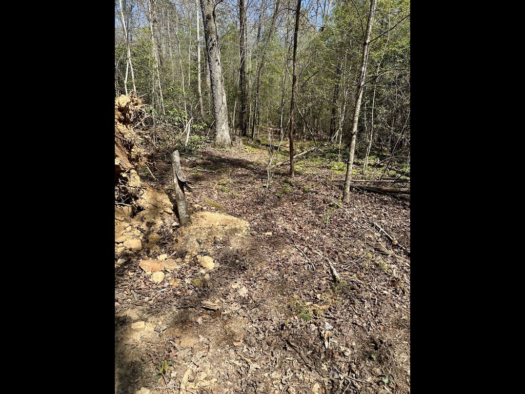 Tr C E New Hope Road E Property Photo 3