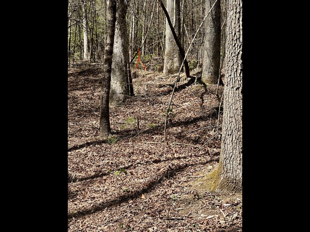 Tr C E New Hope Road E Property Photo 4