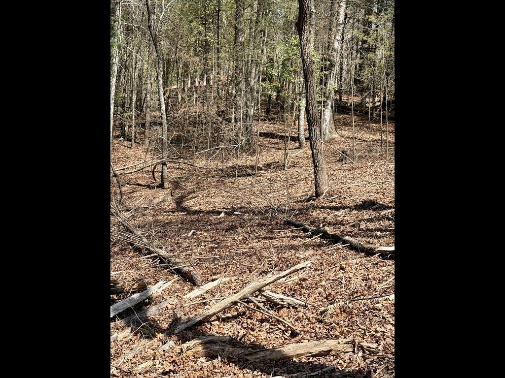 Tr 2 E New Hope Road E Property Photo 1