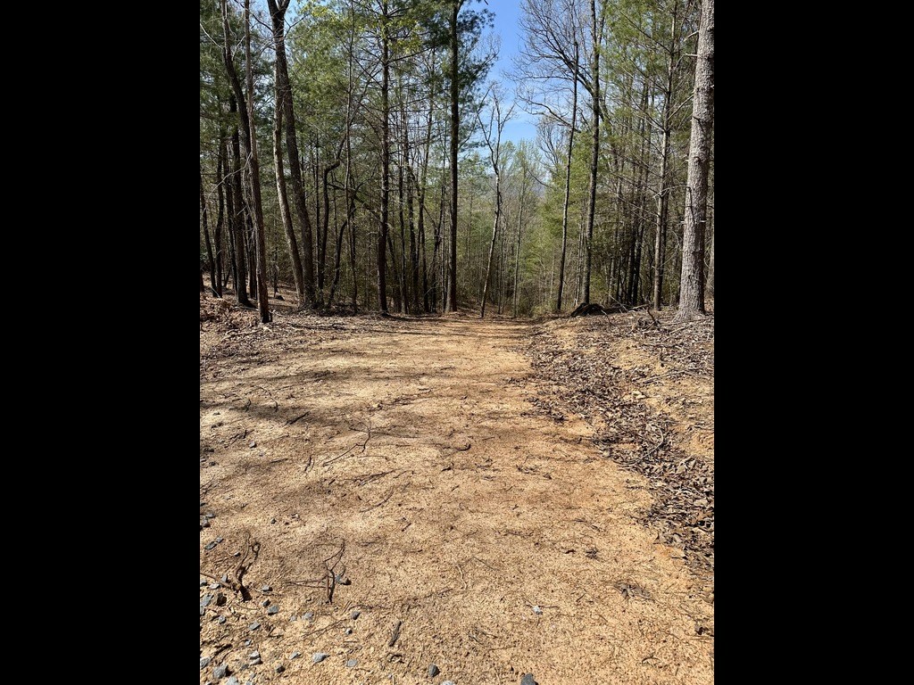 Tr 2 E New Hope Road E Property Photo 2