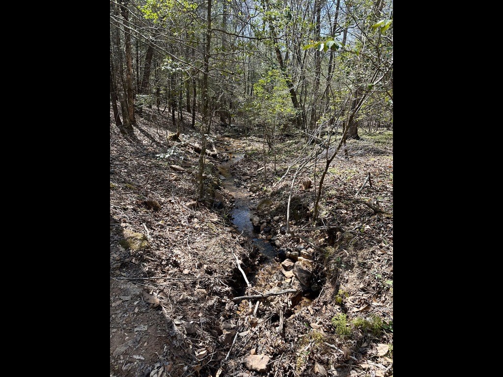 Tr 2 E New Hope Road E Property Photo 4