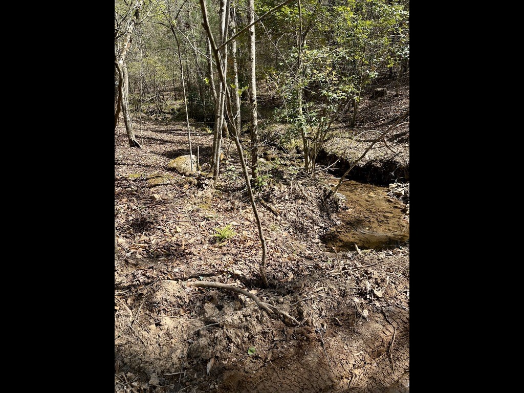 Tr 2 E New Hope Road E Property Photo 5