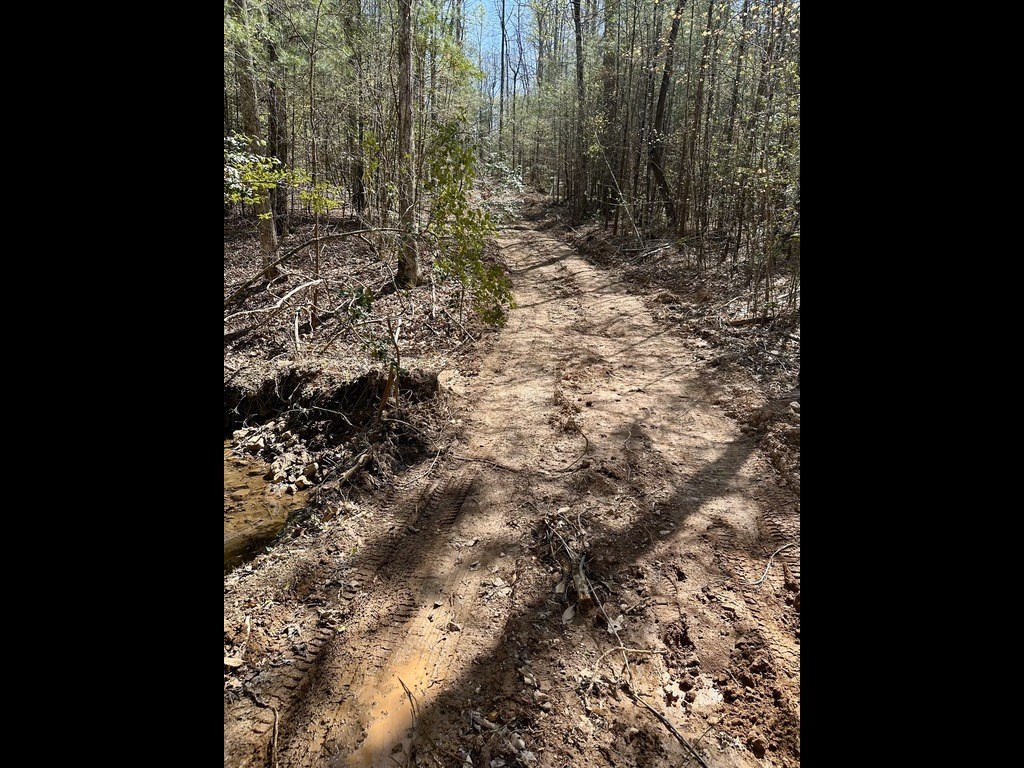 Tr 2 E New Hope Road E Property Photo 6