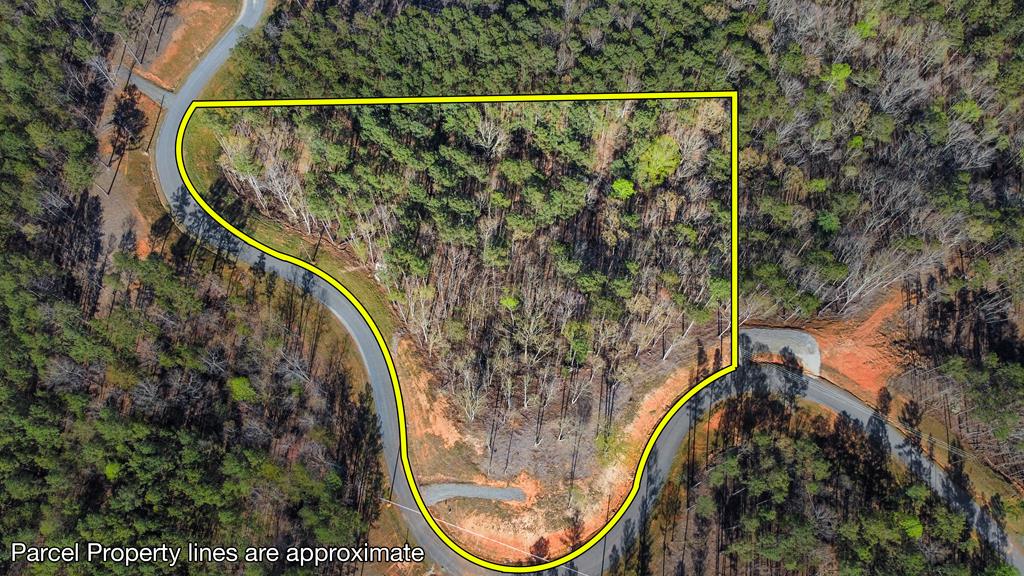 Lot 103 Blalock Mountain Road Property Photo 1