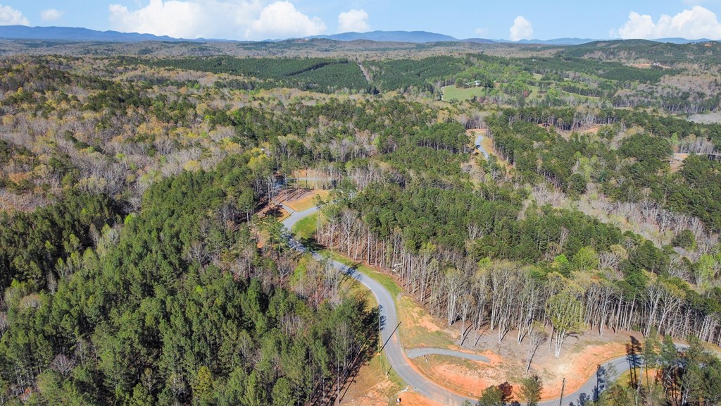Lot 103 Blalock Mountain Road Property Photo 2