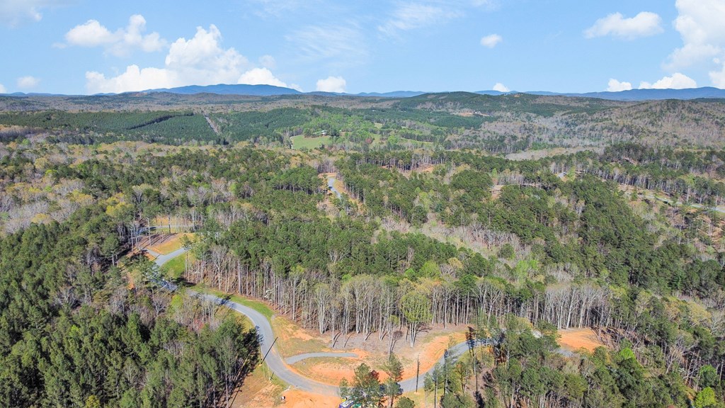 Lot 103 Blalock Mountain Road Property Photo 3