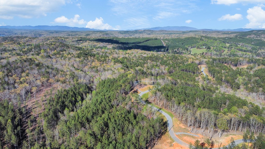 Lot 103 Blalock Mountain Road Property Photo 4