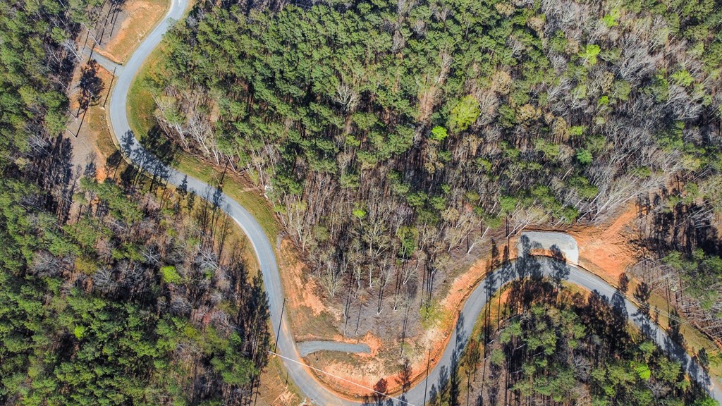 Lot 103 Blalock Mountain Road Property Photo 5