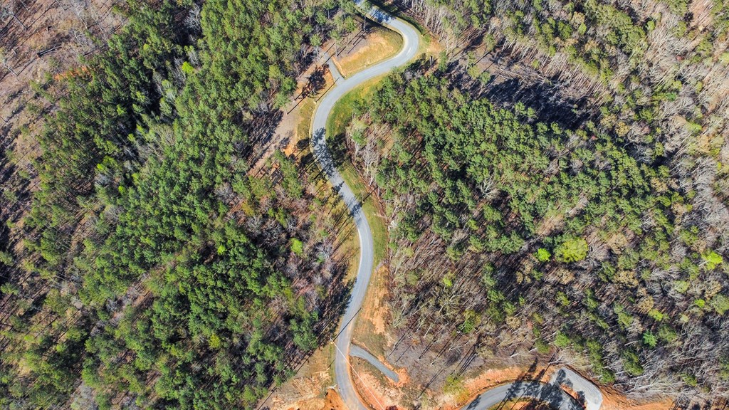 Lot 103 Blalock Mountain Road Property Photo 6
