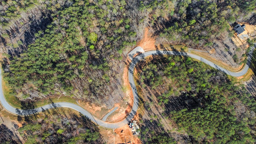Lot 103 Blalock Mountain Road Property Photo 7
