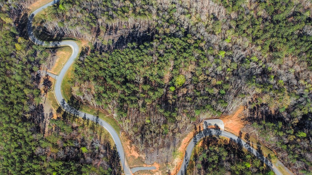 Lot 103 Blalock Mountain Road Property Photo 8