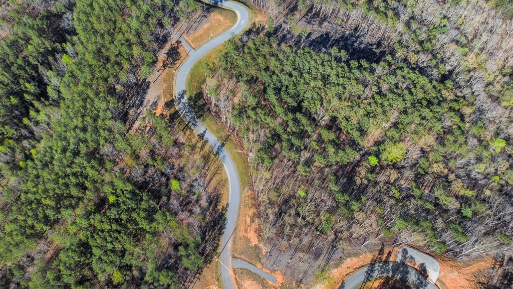 Lot 103 Blalock Mountain Road Property Photo 9