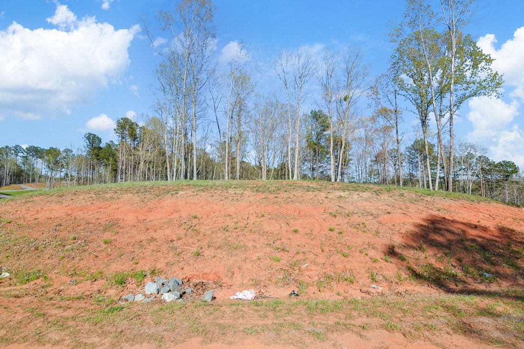Lot 103 Blalock Mountain Road Property Photo 10