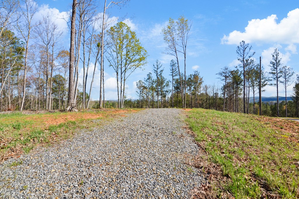 Lot 103 Blalock Mountain Road Property Photo 11