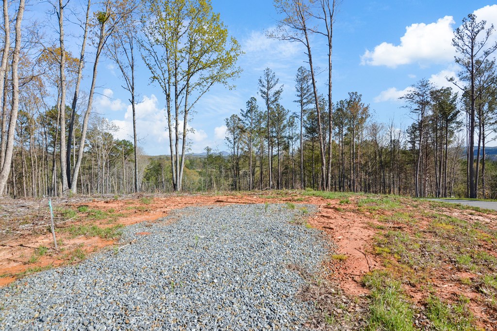 Lot 103 Blalock Mountain Road Property Photo 12