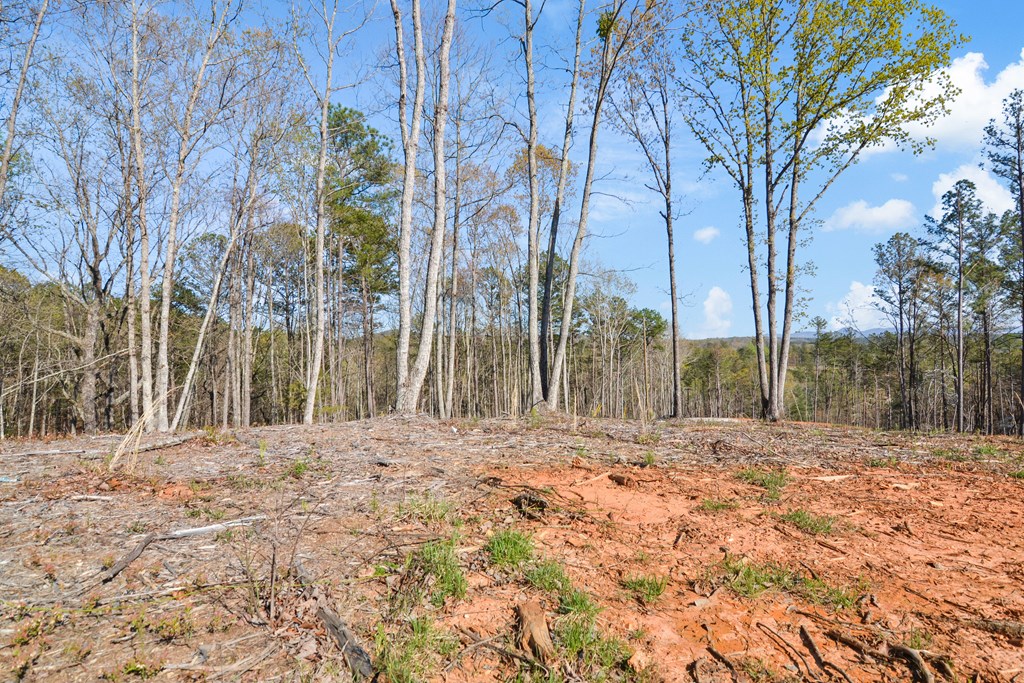 Lot 103 Blalock Mountain Road Property Photo 13