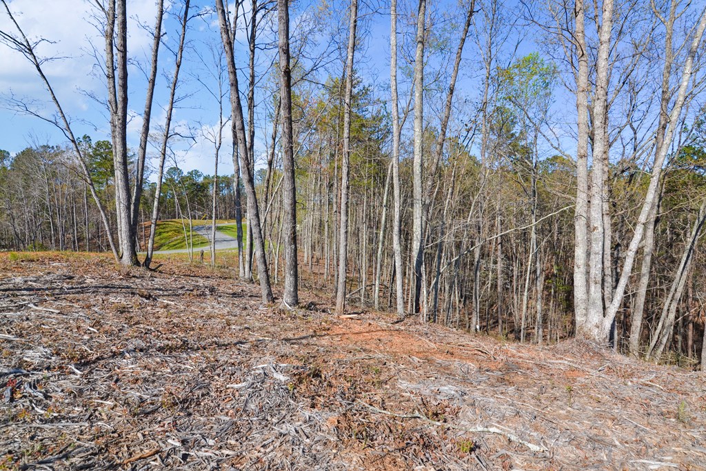 Lot 103 Blalock Mountain Road Property Photo 15