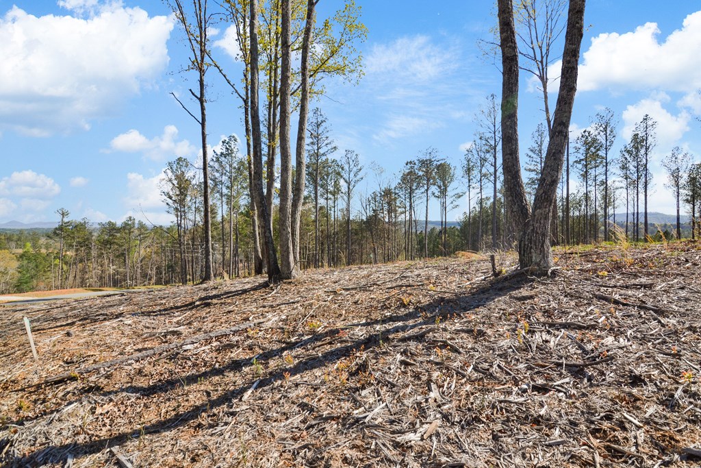 Lot 103 Blalock Mountain Road Property Photo 16
