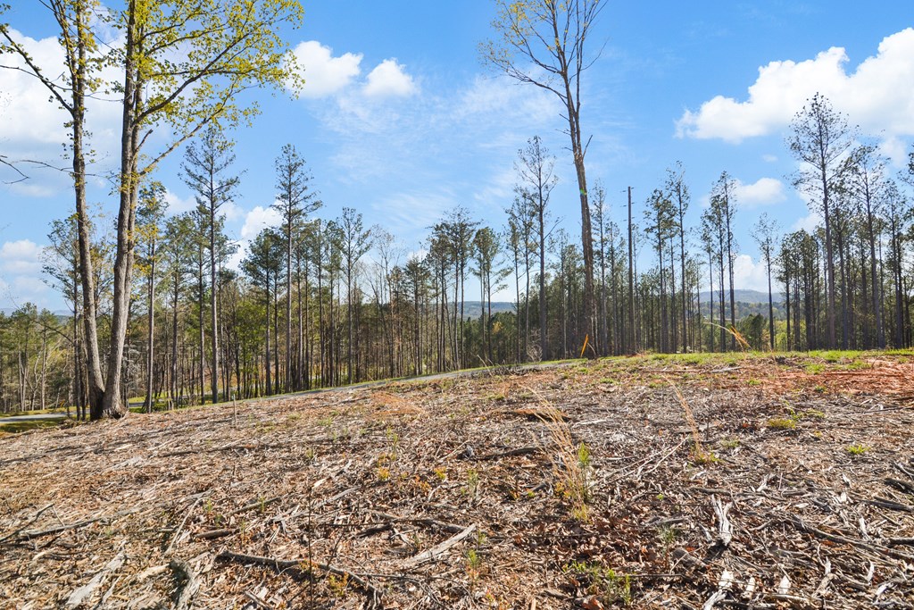 Lot 103 Blalock Mountain Road Property Photo 17