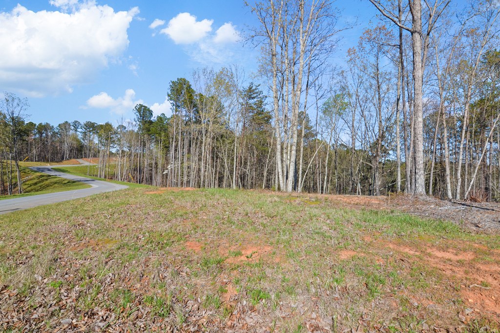 Lot 103 Blalock Mountain Road Property Photo 18