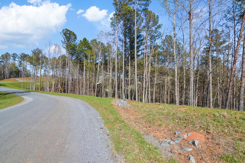 Lot 103 Blalock Mountain Road Property Photo 19