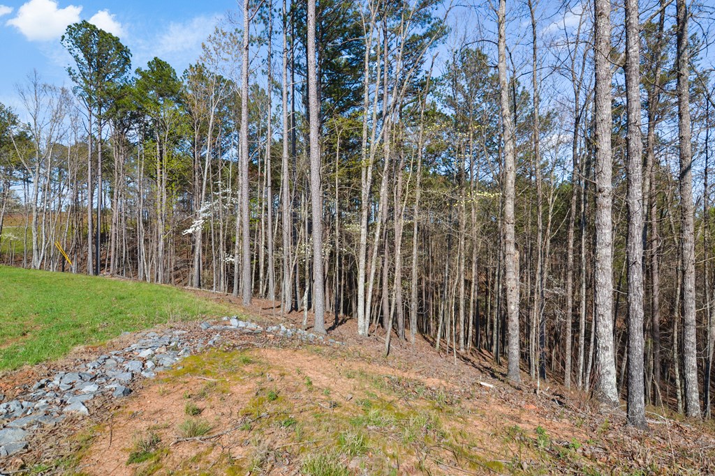 Lot 103 Blalock Mountain Road Property Photo 20