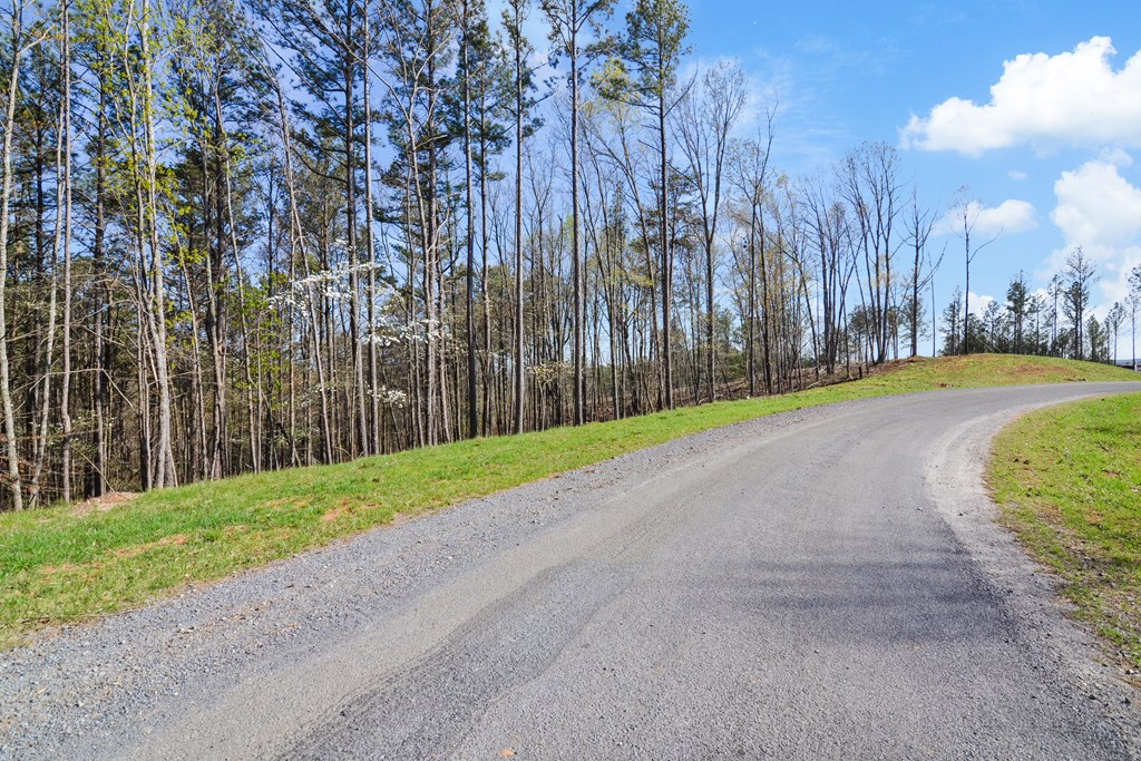 Lot 103 Blalock Mountain Road Property Photo 21