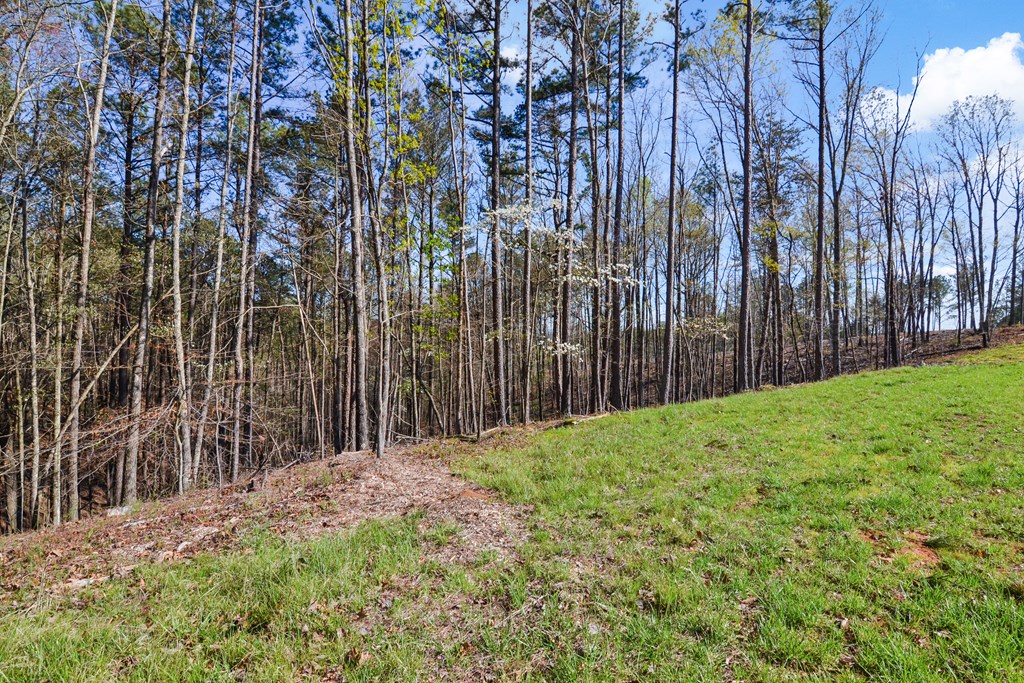 Lot 103 Blalock Mountain Road Property Photo 22