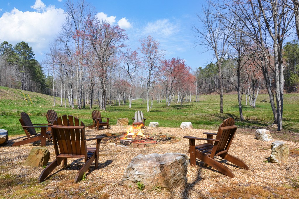 Lot 103 Blalock Mountain Road Property Photo 28