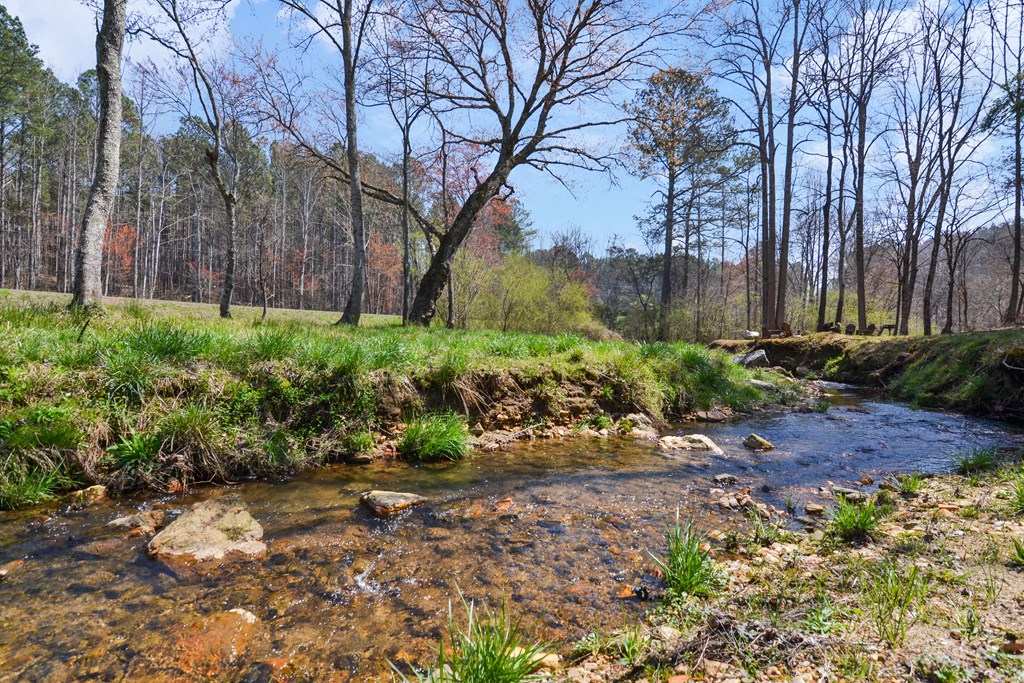 Lot 103 Blalock Mountain Road Property Photo 31