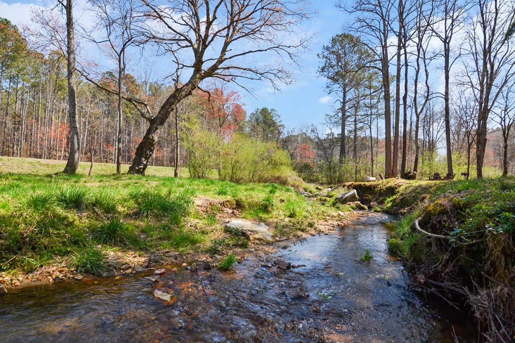 Lot 103 Blalock Mountain Road Property Photo 32