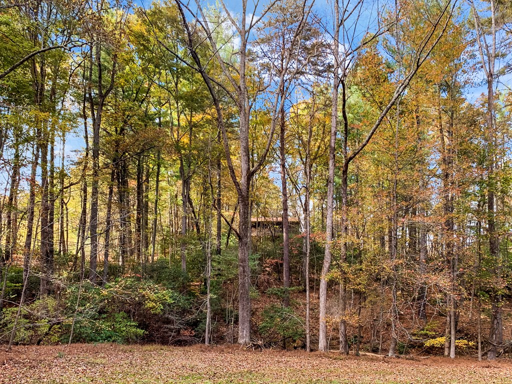 125 Waters Road Property Photo 48