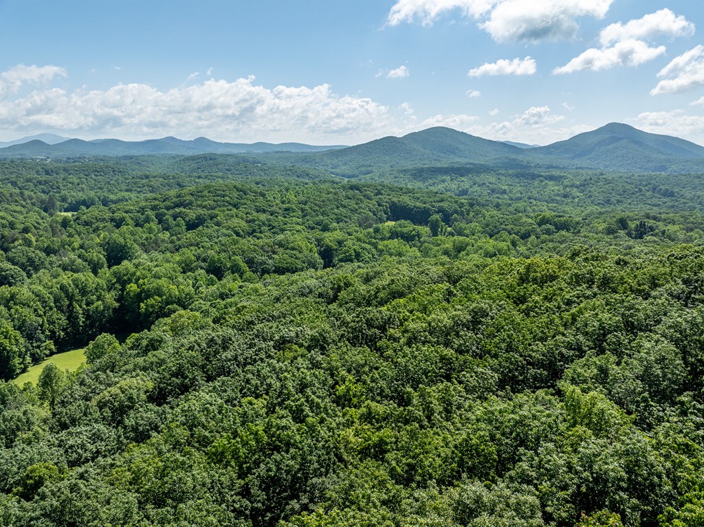 3.65 Ac Emory Stephens Rd. Property Photo 3
