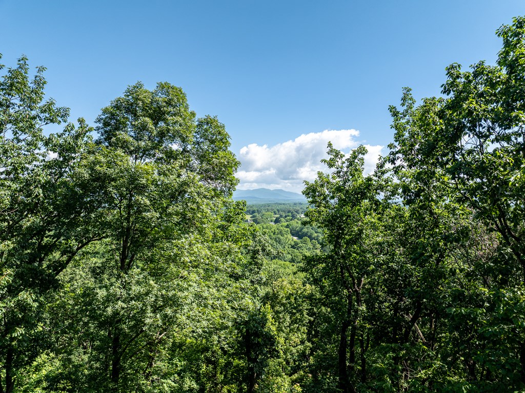3.65 Ac Emory Stephens Rd. Property Photo 4