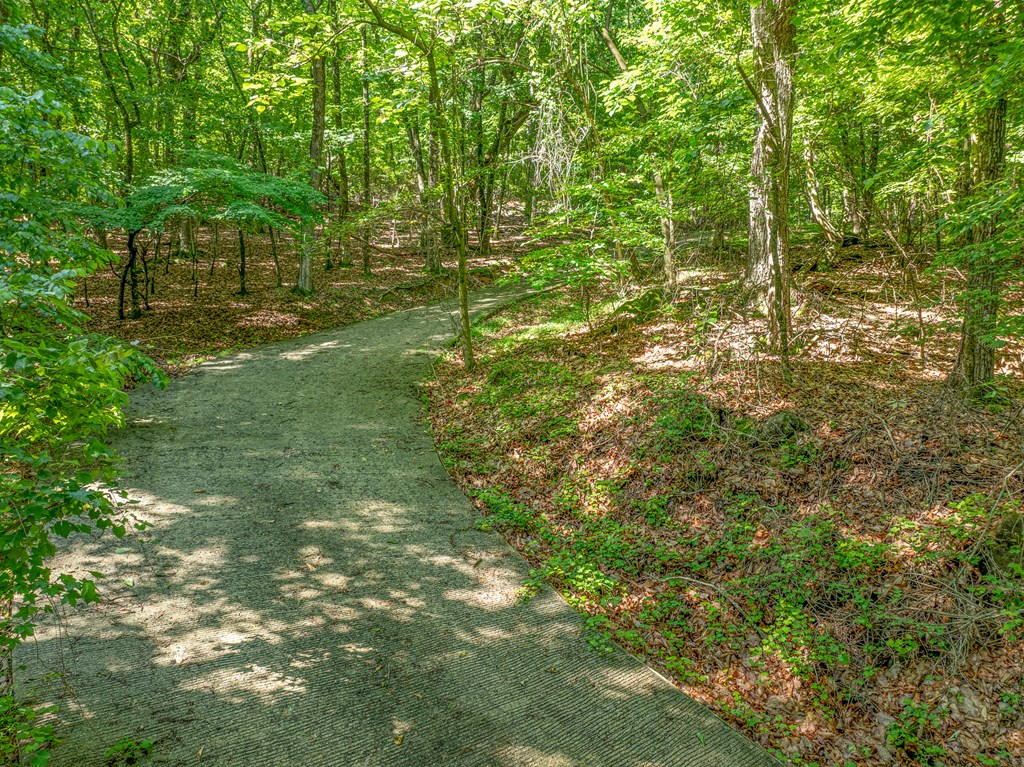 3.65 Ac Emory Stephens Rd. Property Photo 8
