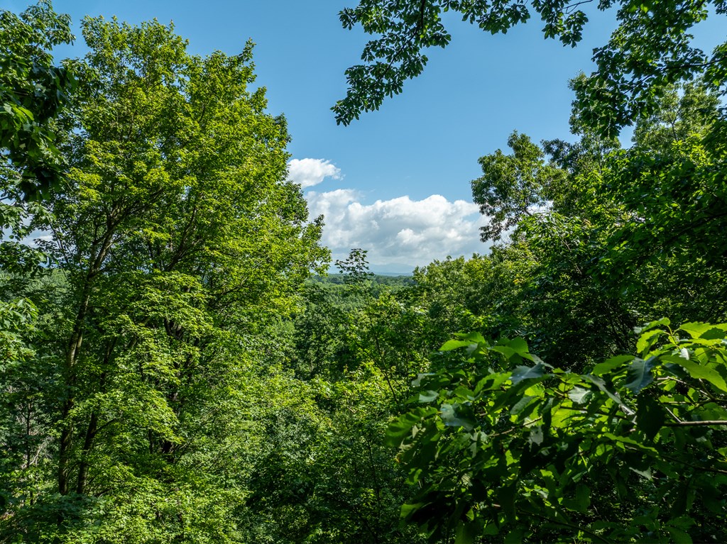 3.65 Ac Emory Stephens Rd. Property Photo 10