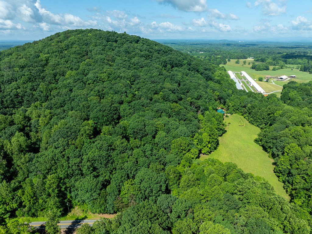 3.65 Ac Emory Stephens Rd. Property Photo 13