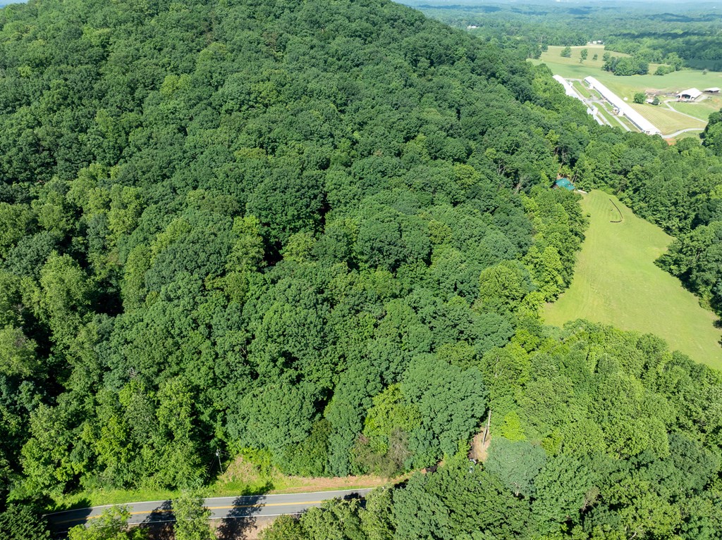 3.65 Ac Emory Stephens Rd. Property Photo 14