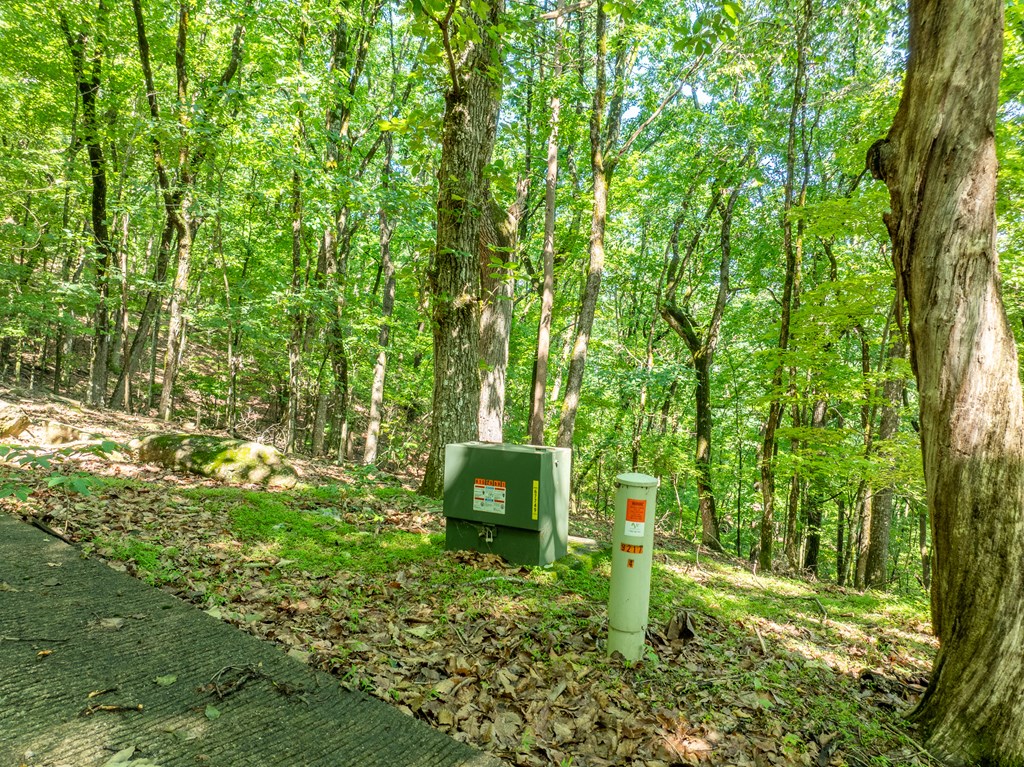 3.65 Ac Emory Stephens Rd. Property Photo 19