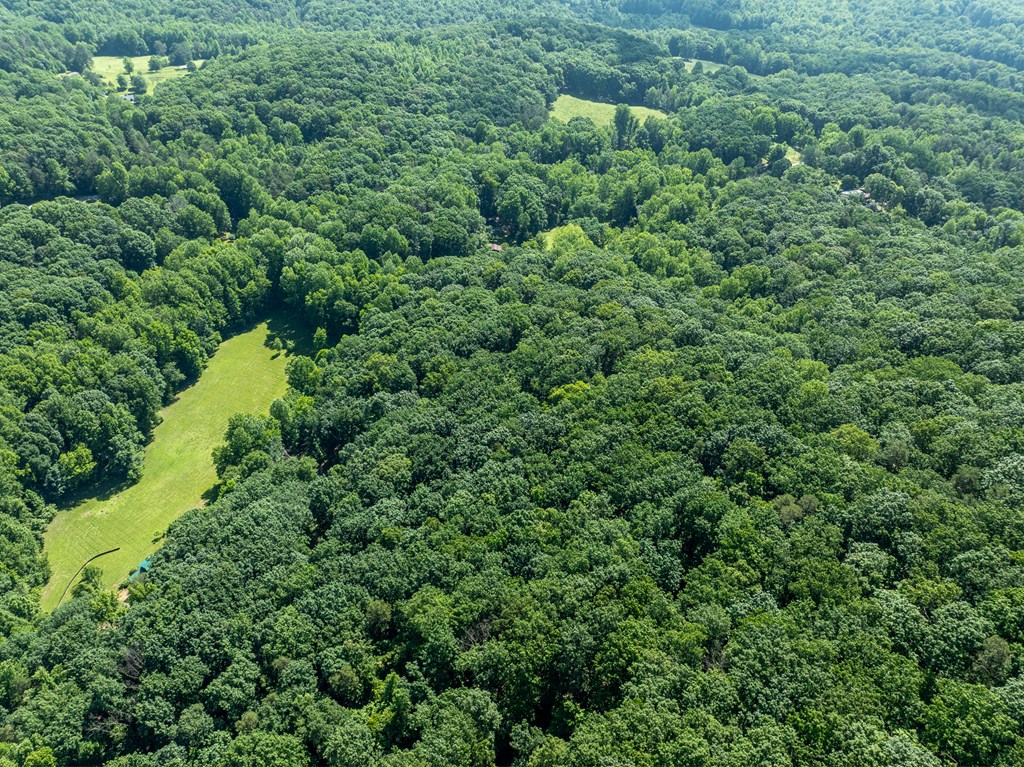3.65 Ac Emory Stephens Rd. Property Photo 20