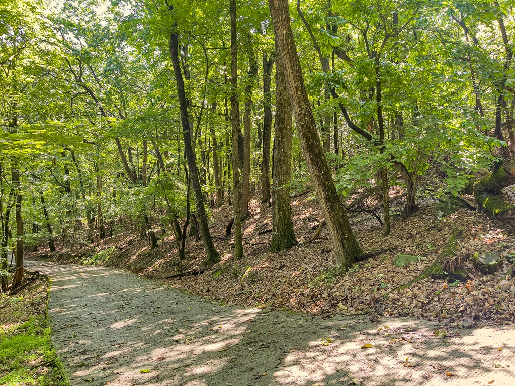 3.65 Ac Emory Stephens Rd. Property Photo 21